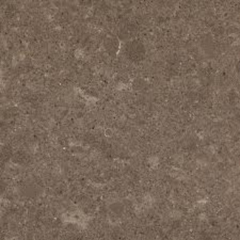 wild rice caesarstone